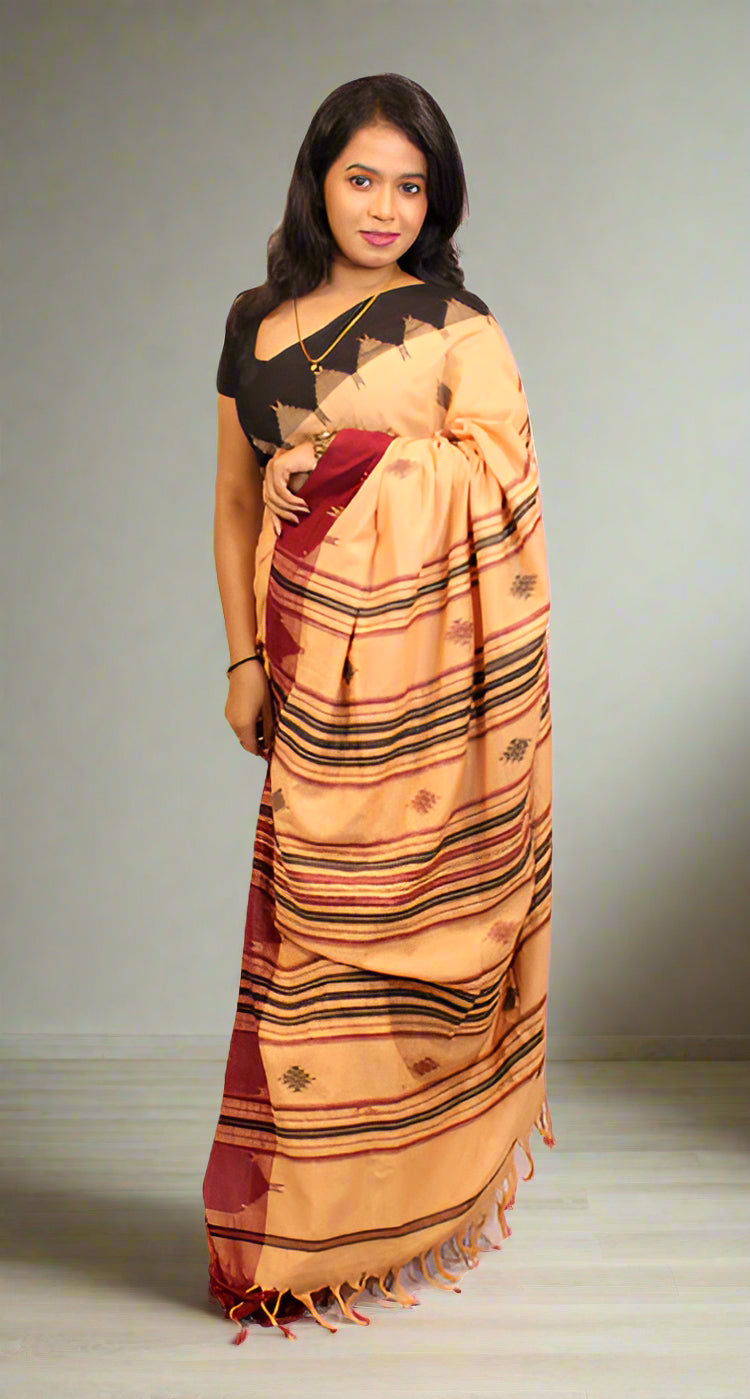 Titli Anchal White Cotton Saree with Ganga Jamuna Border – Traditional Handloom Saree for Women
